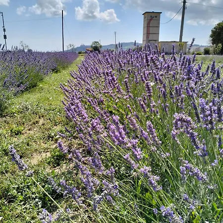 Casale Кастельфидардо