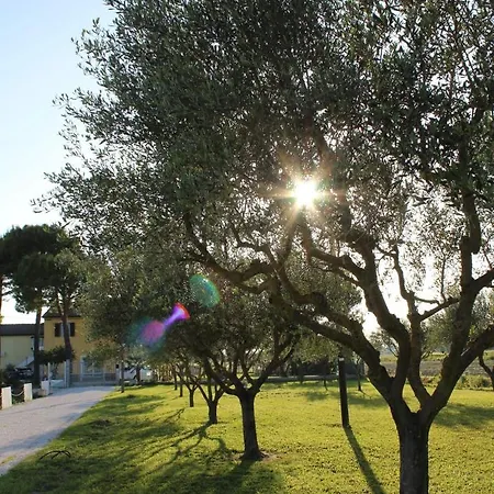 Bed & Breakfast Casale