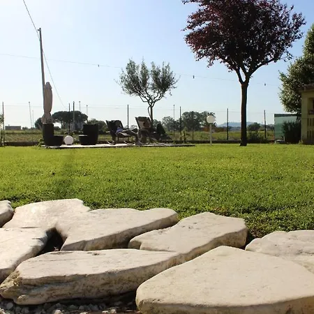 Casale