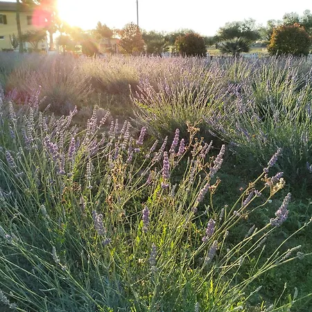 Casale 3* Castelfidardo