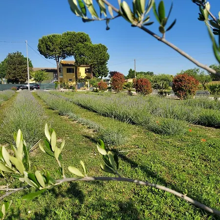 Bed & Breakfast Casale *